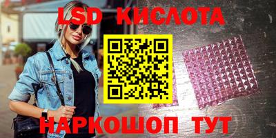 прущие грибы Будённовск