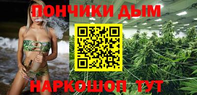 прущие грибы Будённовск