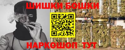 прущие грибы Будённовск