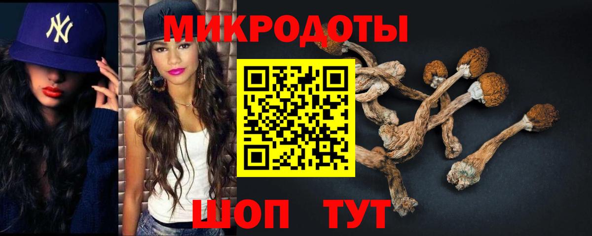 Сунжа  Галлюциногенные грибы прущие грибы  Вход с VPN  Псилоцибиновые грибы ЛСД 